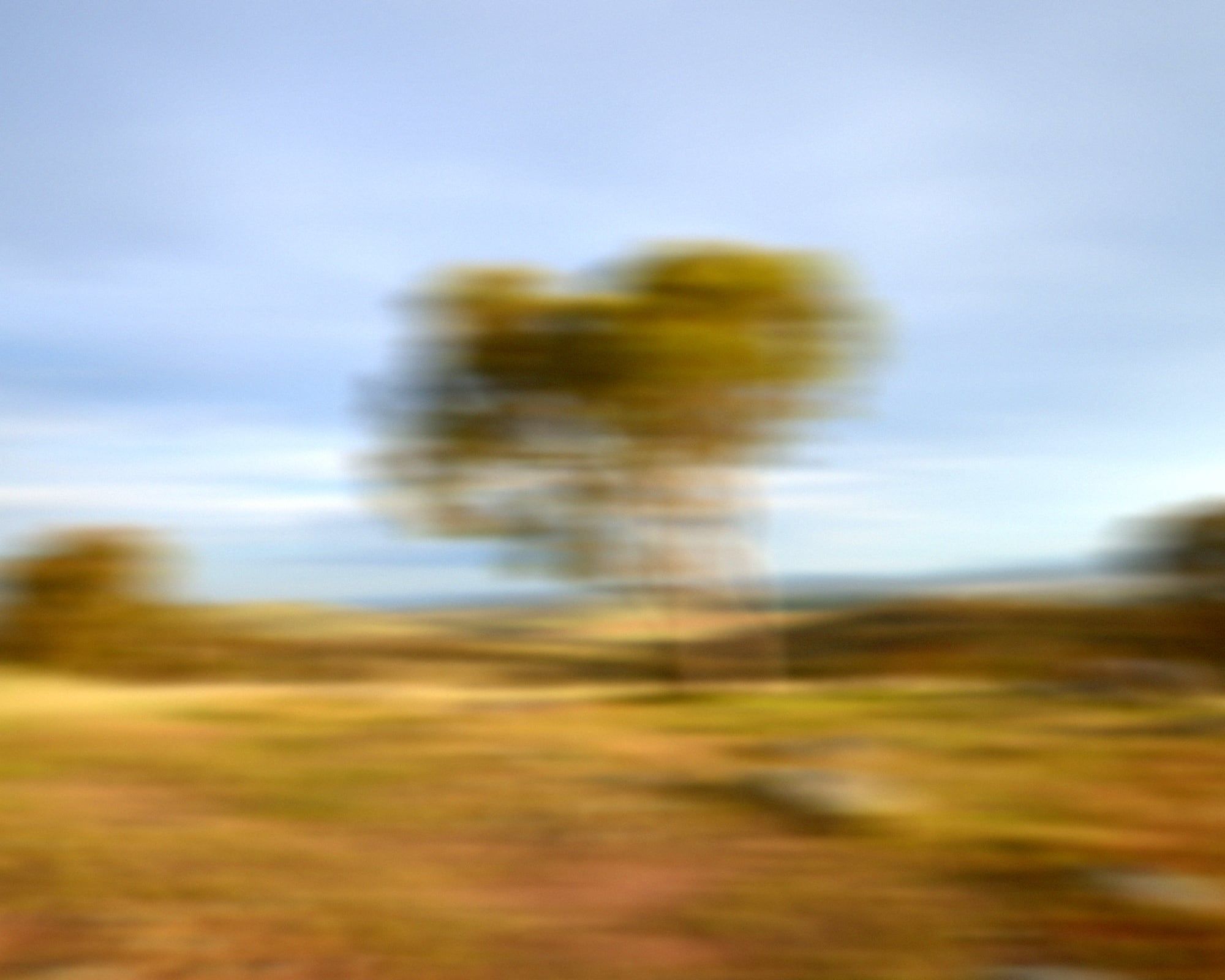 Luke Brown 'Australian Sandalwood’ Mix 