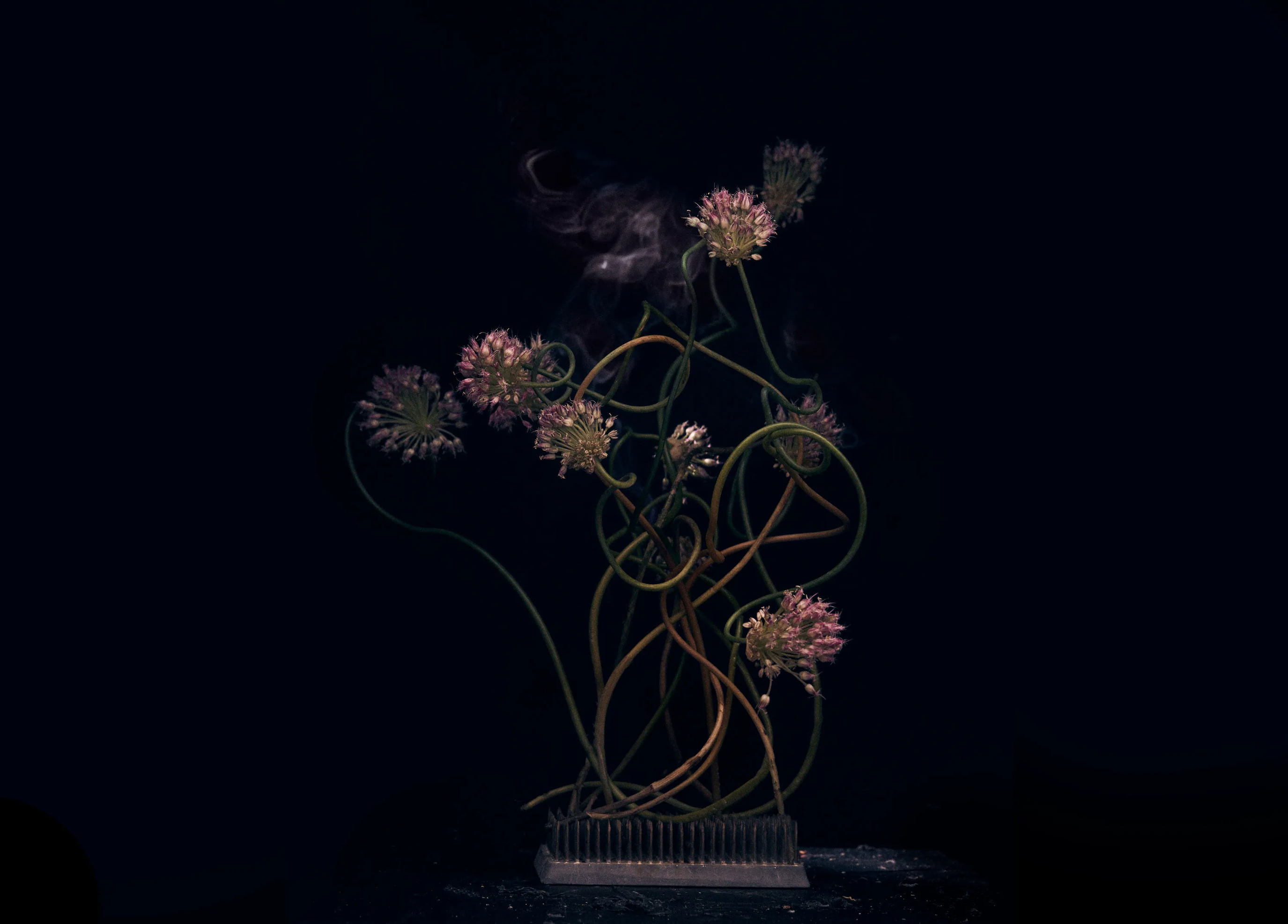 The Science Behind Memory & Scent
